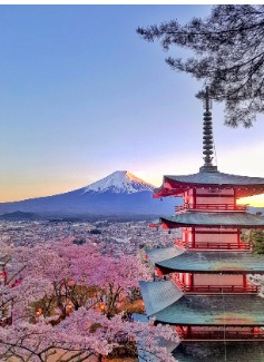 Japan Group Tour